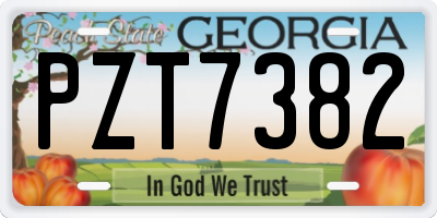 GA license plate PZT7382
