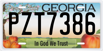 GA license plate PZT7386