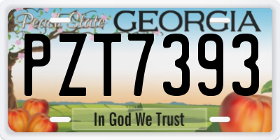 GA license plate PZT7393