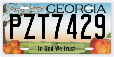 GA license plate PZT7429