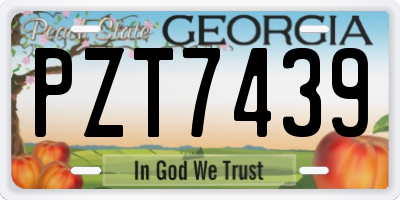 GA license plate PZT7439