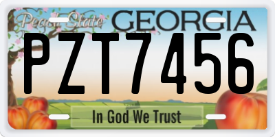 GA license plate PZT7456