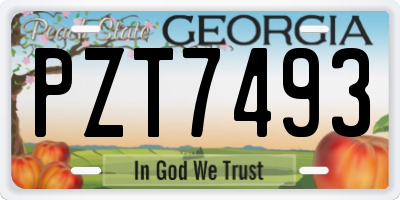 GA license plate PZT7493