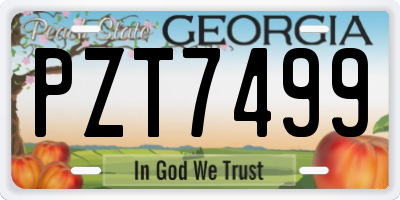 GA license plate PZT7499