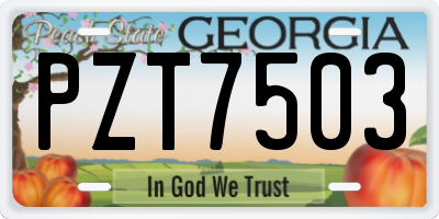 GA license plate PZT7503