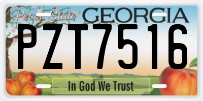 GA license plate PZT7516