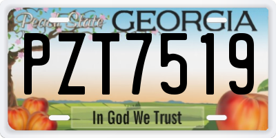 GA license plate PZT7519