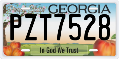 GA license plate PZT7528