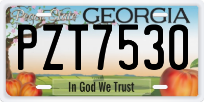 GA license plate PZT7530