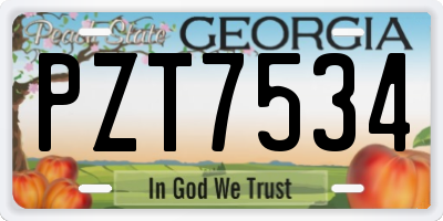 GA license plate PZT7534