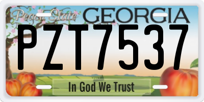 GA license plate PZT7537