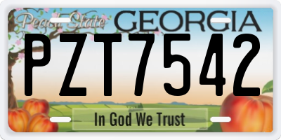GA license plate PZT7542
