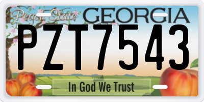 GA license plate PZT7543