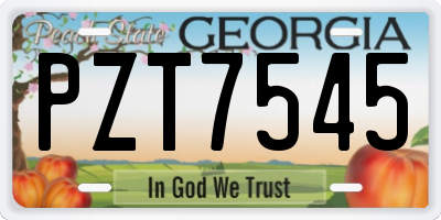 GA license plate PZT7545