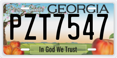 GA license plate PZT7547
