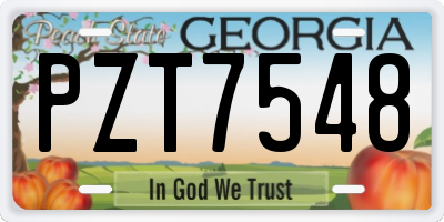GA license plate PZT7548