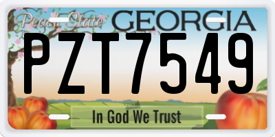 GA license plate PZT7549