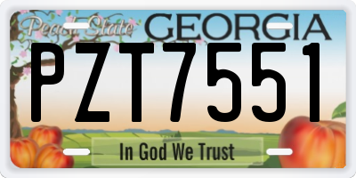 GA license plate PZT7551