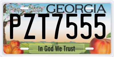 GA license plate PZT7555