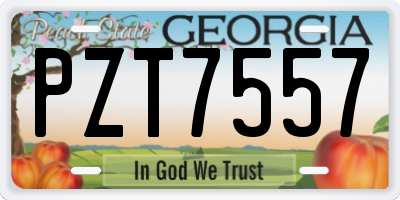 GA license plate PZT7557