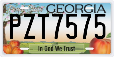 GA license plate PZT7575