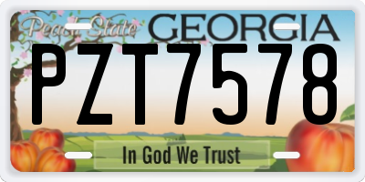 GA license plate PZT7578