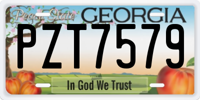 GA license plate PZT7579