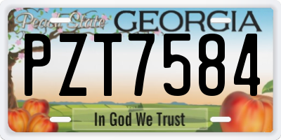 GA license plate PZT7584