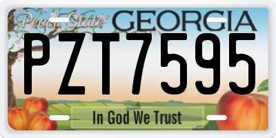 GA license plate PZT7595