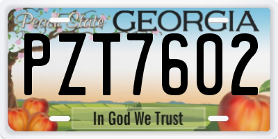 GA license plate PZT7602