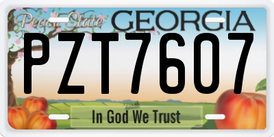 GA license plate PZT7607