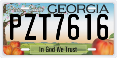 GA license plate PZT7616