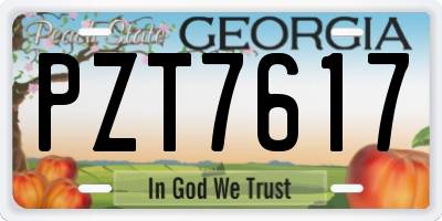 GA license plate PZT7617
