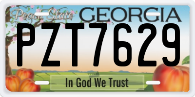 GA license plate PZT7629