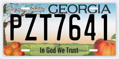 GA license plate PZT7641