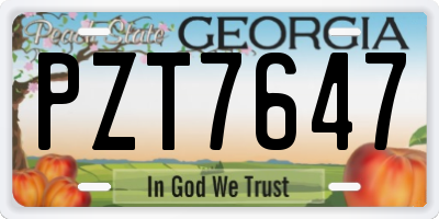 GA license plate PZT7647