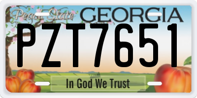 GA license plate PZT7651