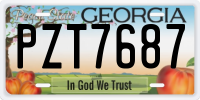 GA license plate PZT7687