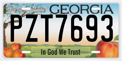 GA license plate PZT7693