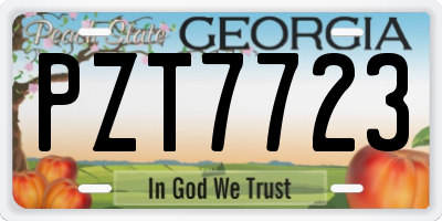 GA license plate PZT7723