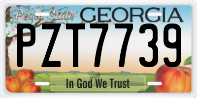 GA license plate PZT7739