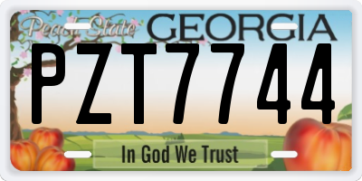 GA license plate PZT7744