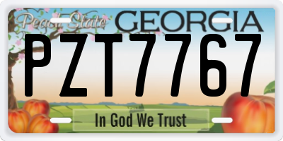 GA license plate PZT7767