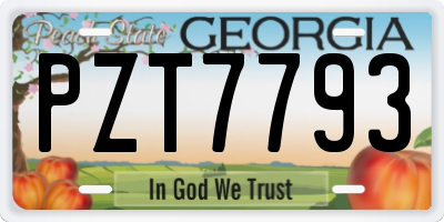 GA license plate PZT7793