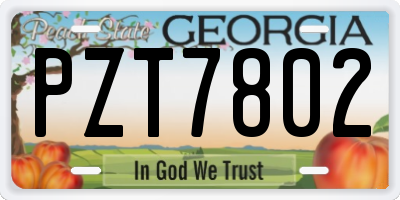 GA license plate PZT7802
