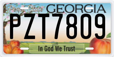 GA license plate PZT7809