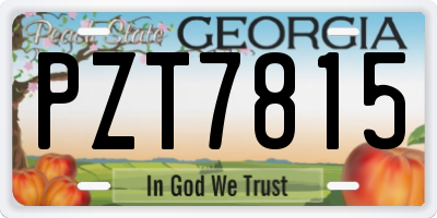 GA license plate PZT7815