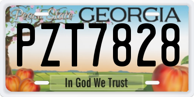 GA license plate PZT7828
