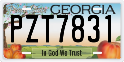 GA license plate PZT7831