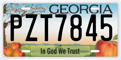 GA license plate PZT7845